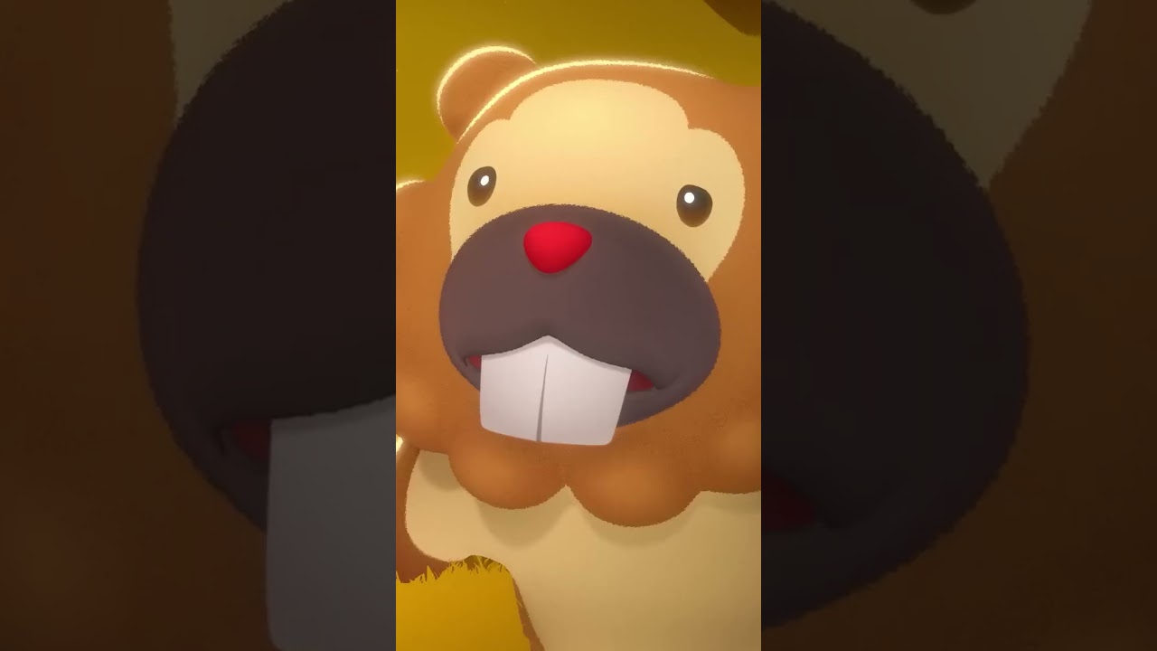 Stand tall, Bidoof ❤️