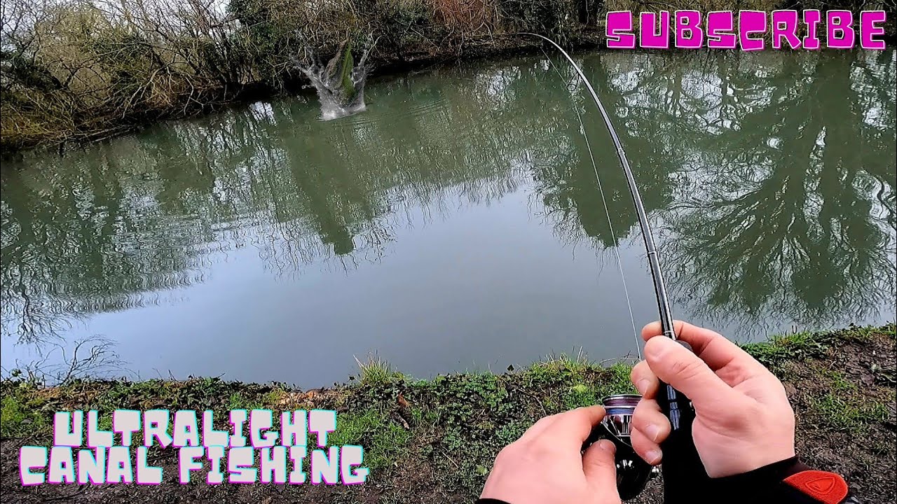 Pike goes crazy about this lure! Ultralight canal fishing 🇬🇧 