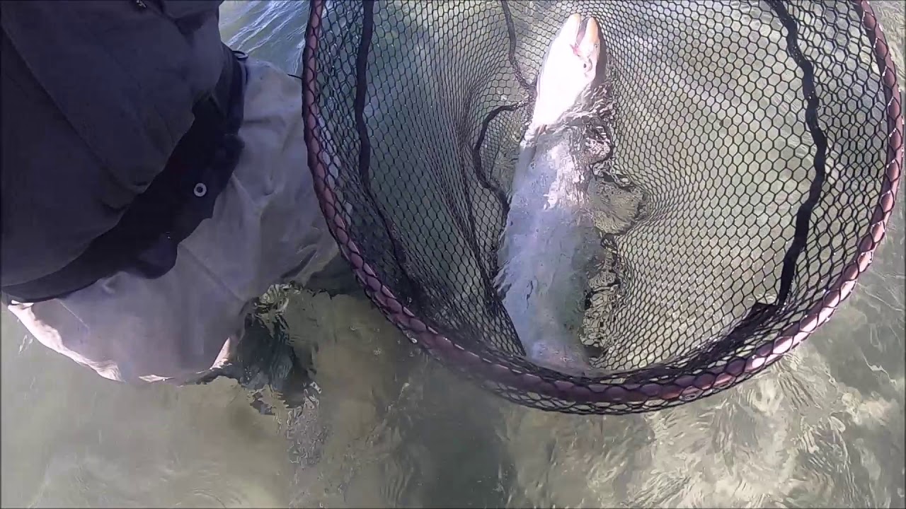 Havørred fiske ferie Ærø del 4