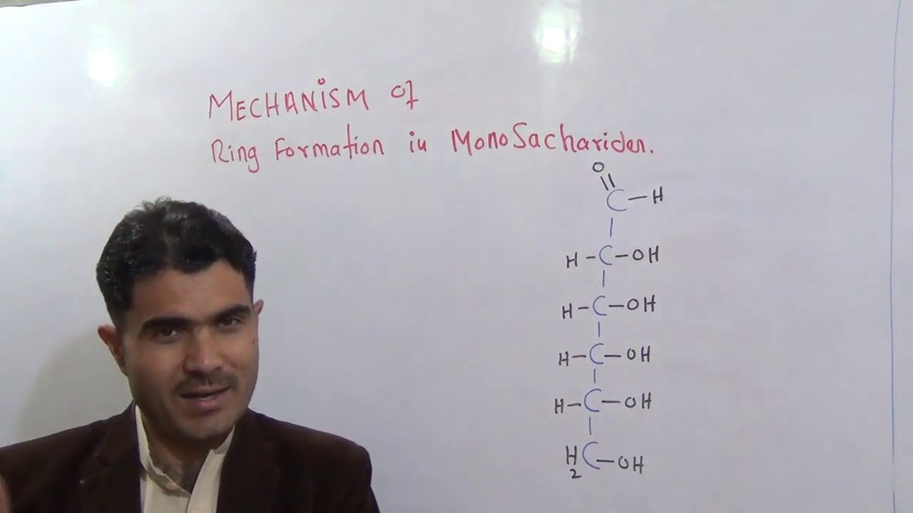 How glucose forms ring structure with mechanism Lecture#7 carbohydrates in English  by Dr Hadi