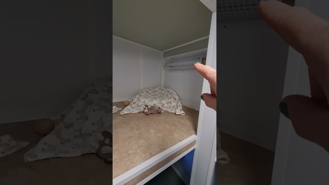 A day in the life of... A Cattery Owner 🐾