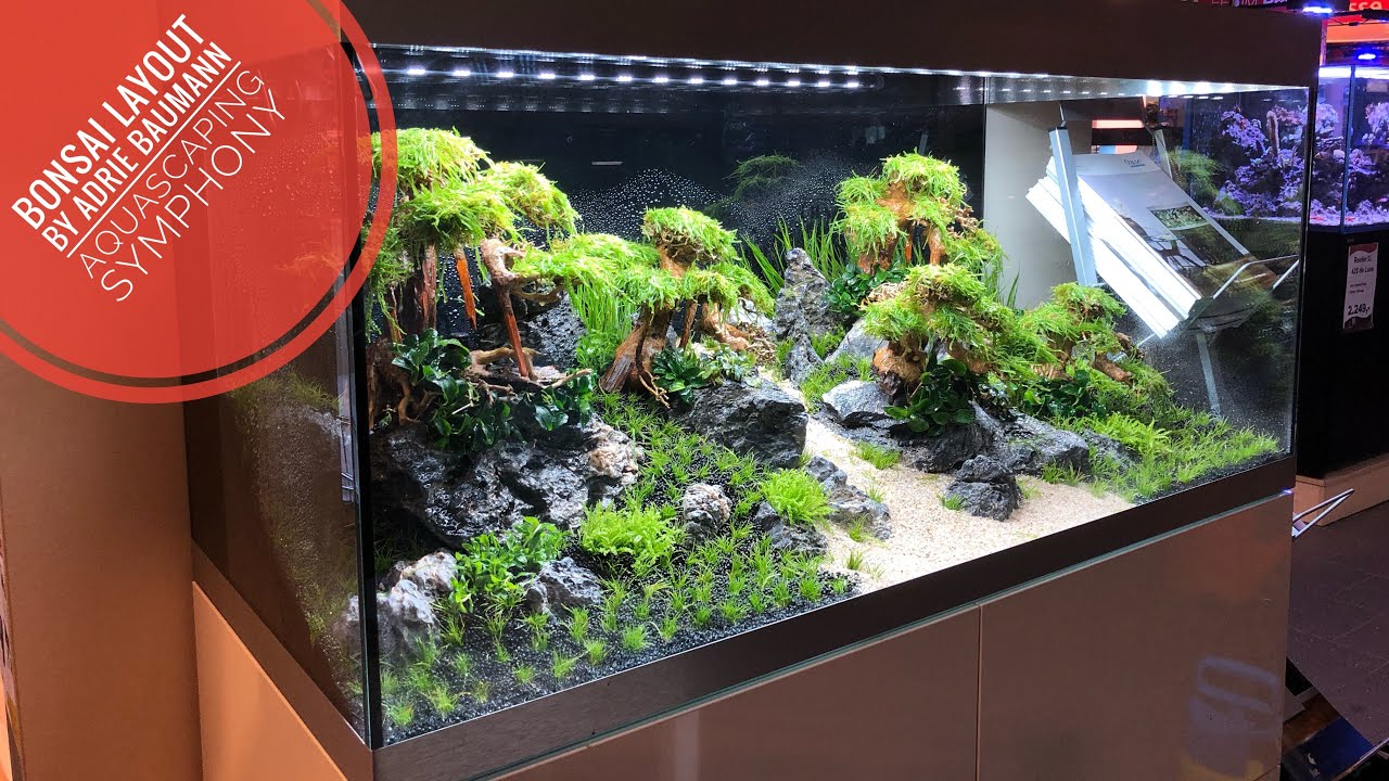 OASE HighLine 300 Bonsai Aquascape