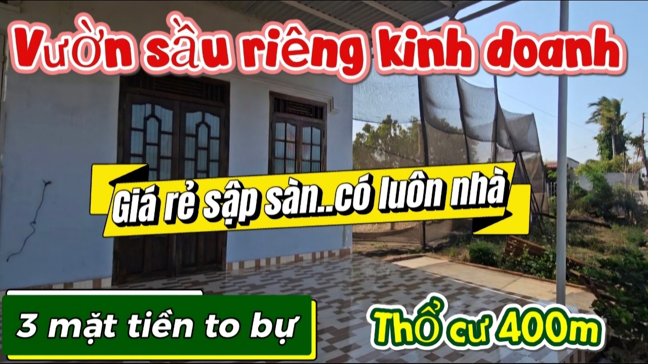 Bán gấp lô 1,5ha sầu riêng kinh doanh có nhà to thổ cư 400m có sẵn 3 mặt tiền tại h. chupuh gia lai