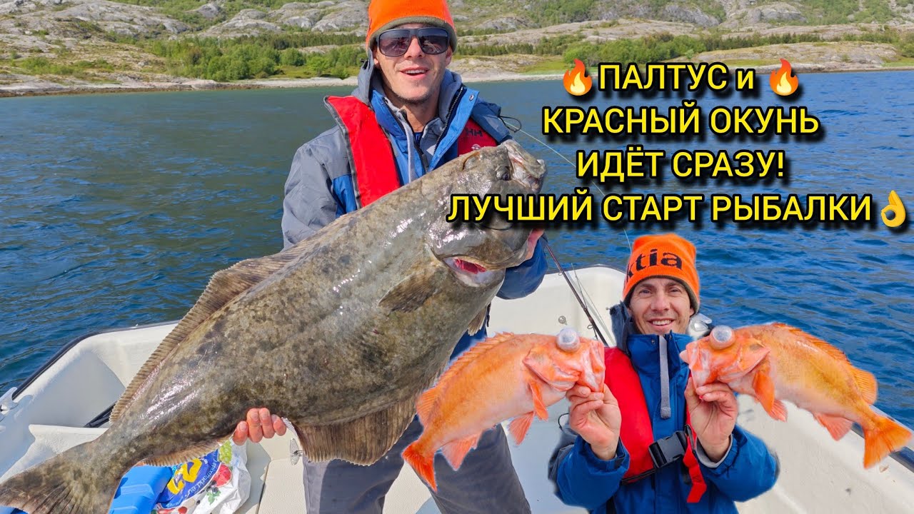 РЫБАЛКА В НОРВЕГИИ, ПАЛТУС, КРАСНЫЙ ОКУНЬ и БОЛЬШАЯ ТРЕСКА С ПЕРВОГО ДНЯ!