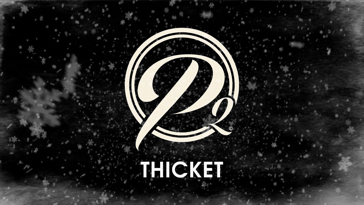 Phillip Phillips & Dave Eggar - Thicket