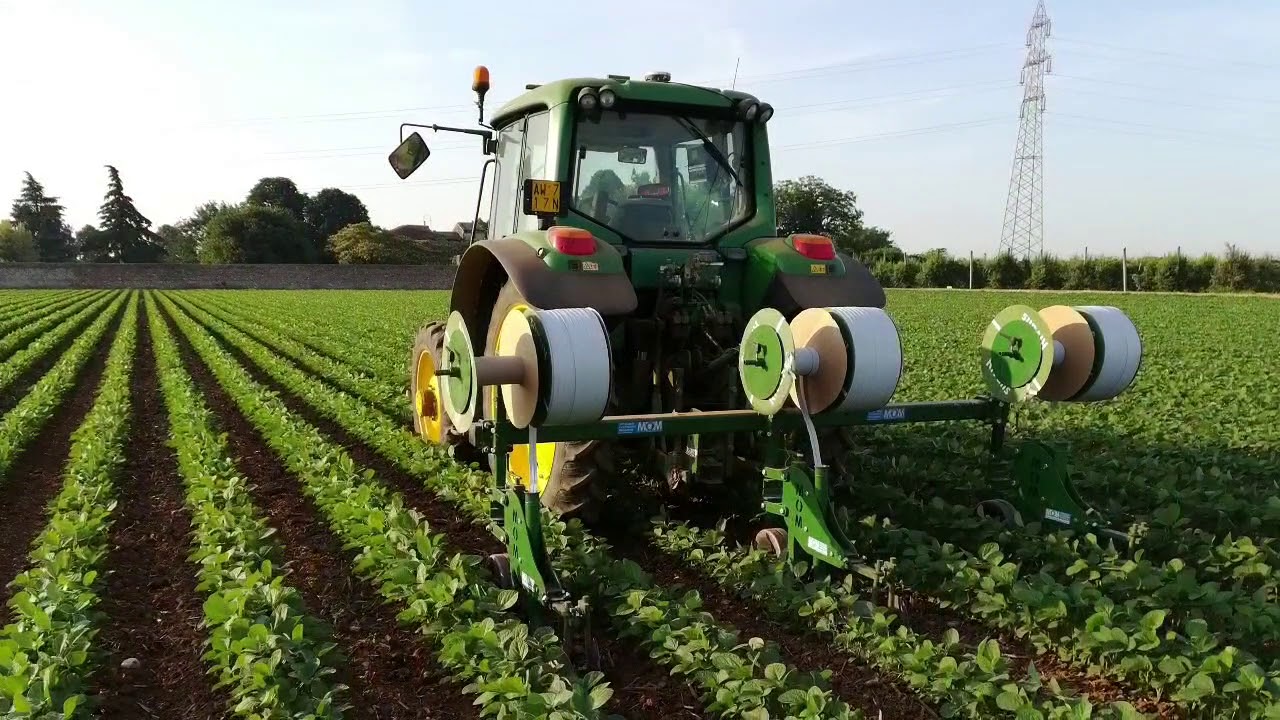 STRIP TILL SEASON 2019
