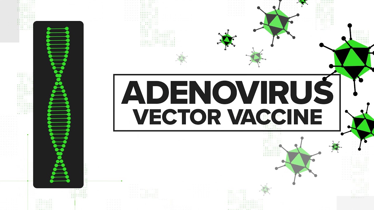 Verify: DNA Vaccine Vs. MRNA Vaccine; How they actually work