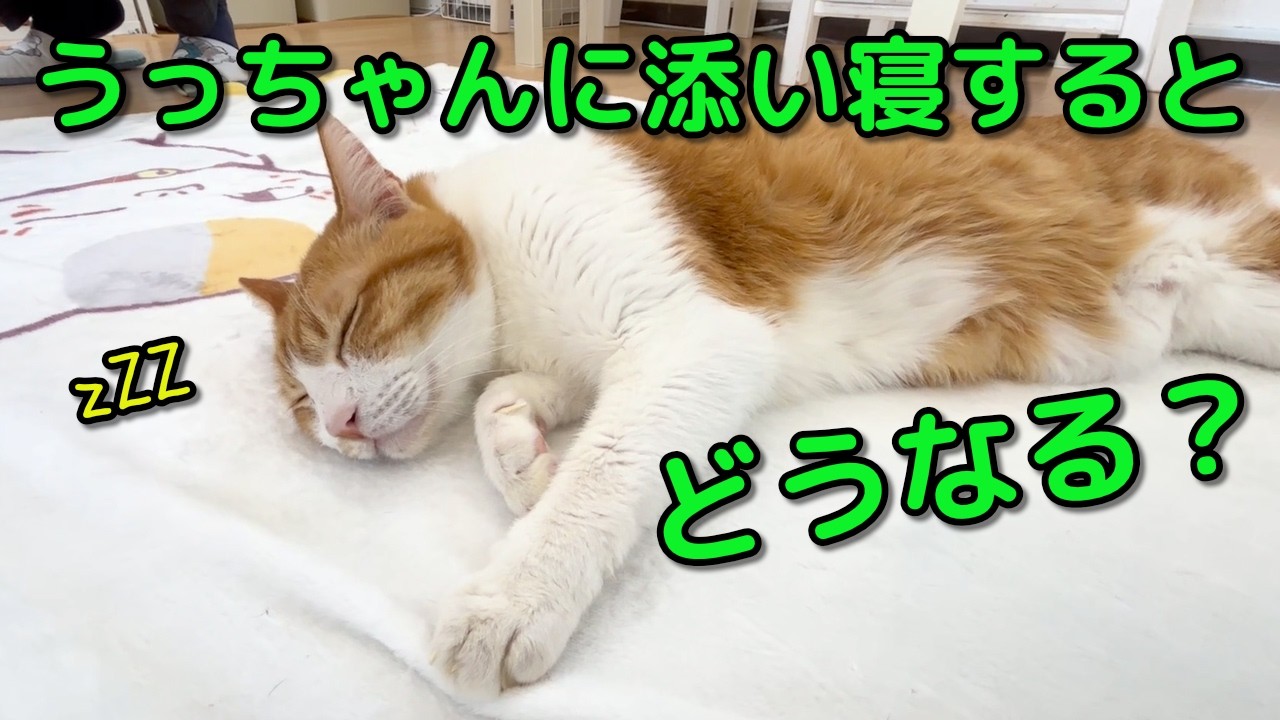 うっちゃんに添い寝したらこうなった