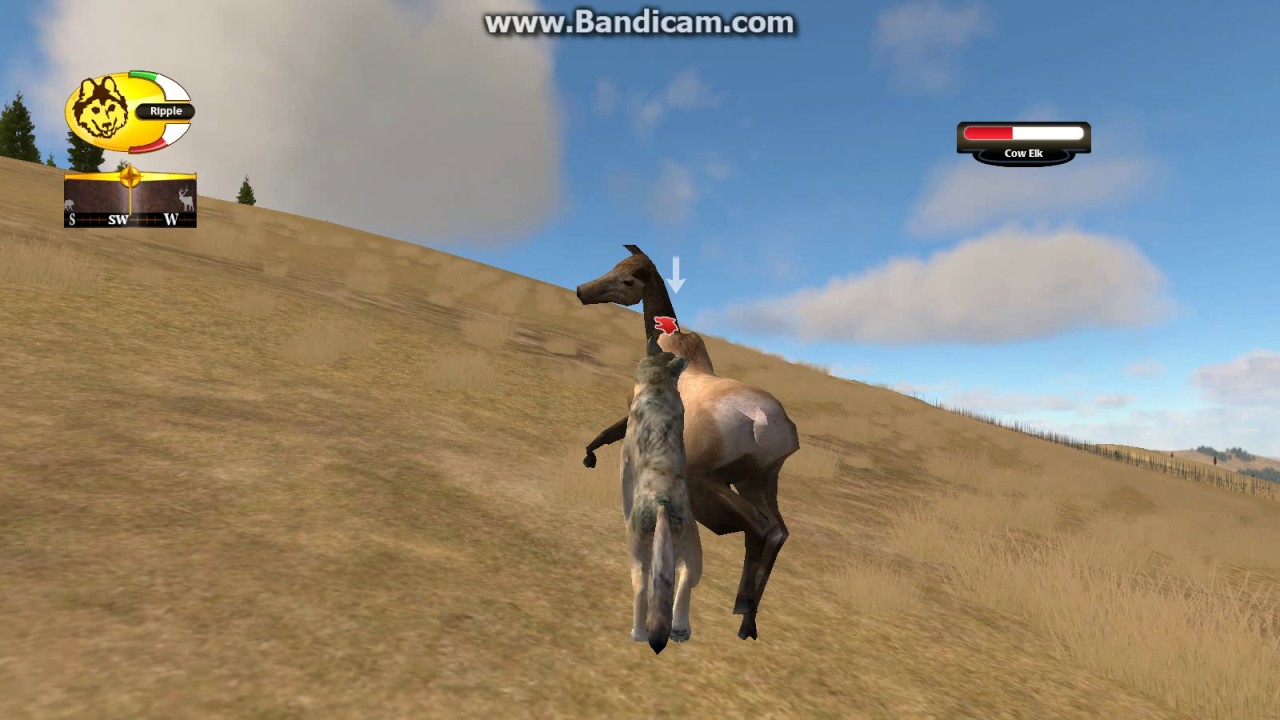 WolfQuest AMD: Part 1 (read the description!)