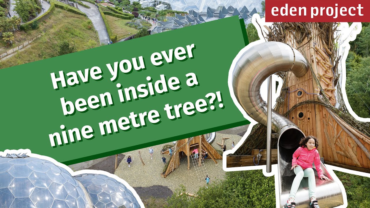 Nature's Playground: Eden Project's incredible NEW adventure play area