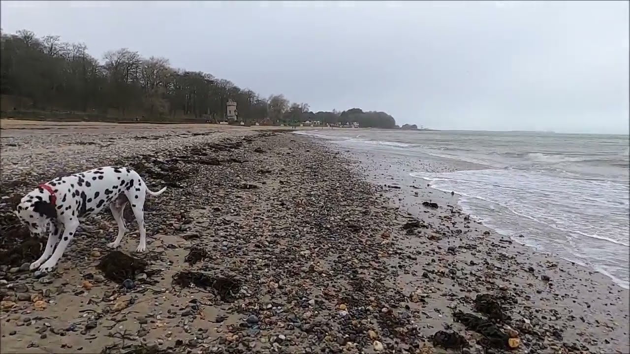 Virtual Walk - Puckpool Park To Appley Tower - Ryde, Isle Of Wight - February 2022 | kittikoko #ryde