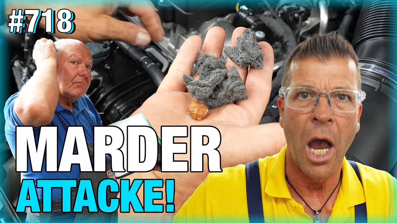 MARDER-ATTACKE legt Ford S-Max lahm?! ❌🦫❌ So schützt man sein Auto!