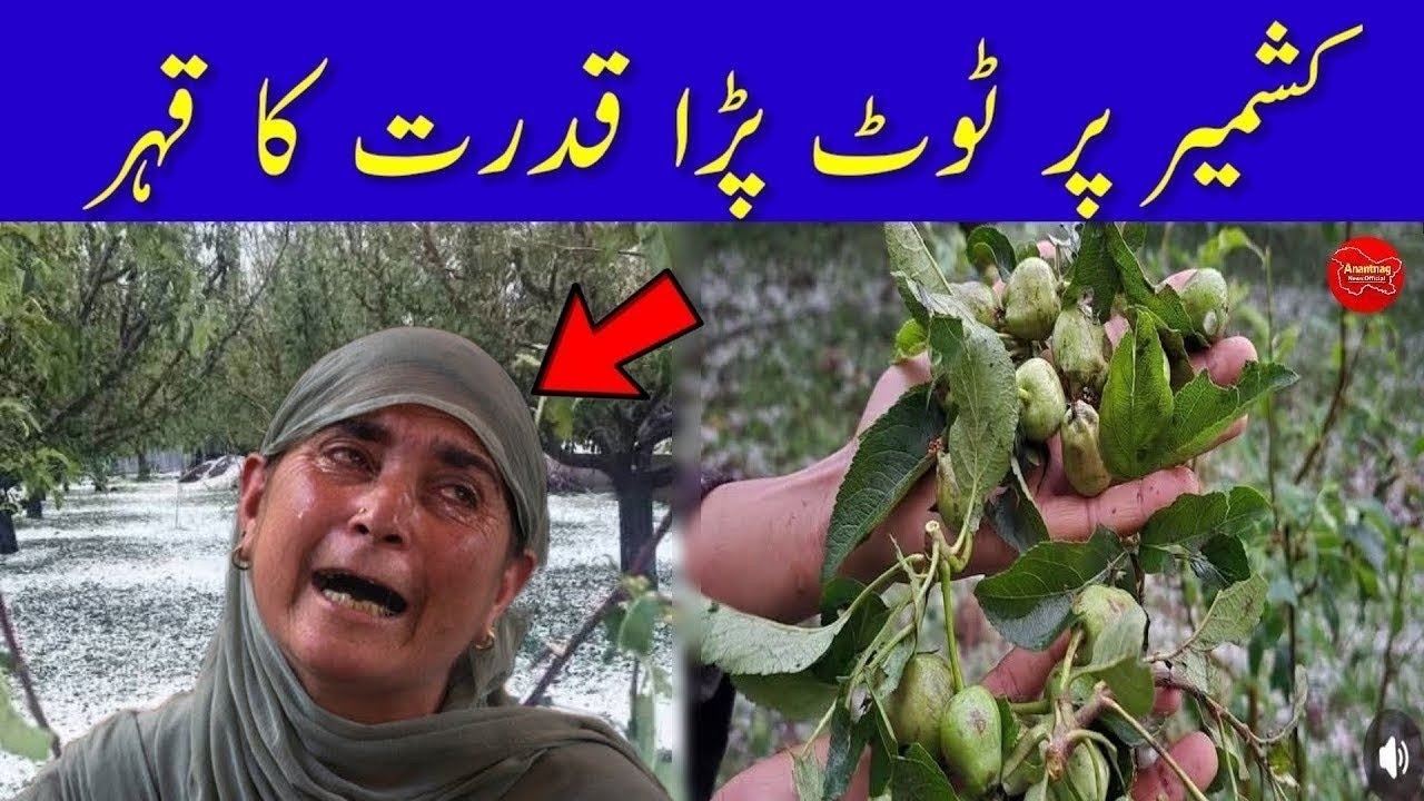 Morning Headlines News || Jammu Kashmir News || 04 June 2026 || Today News Bulletin 