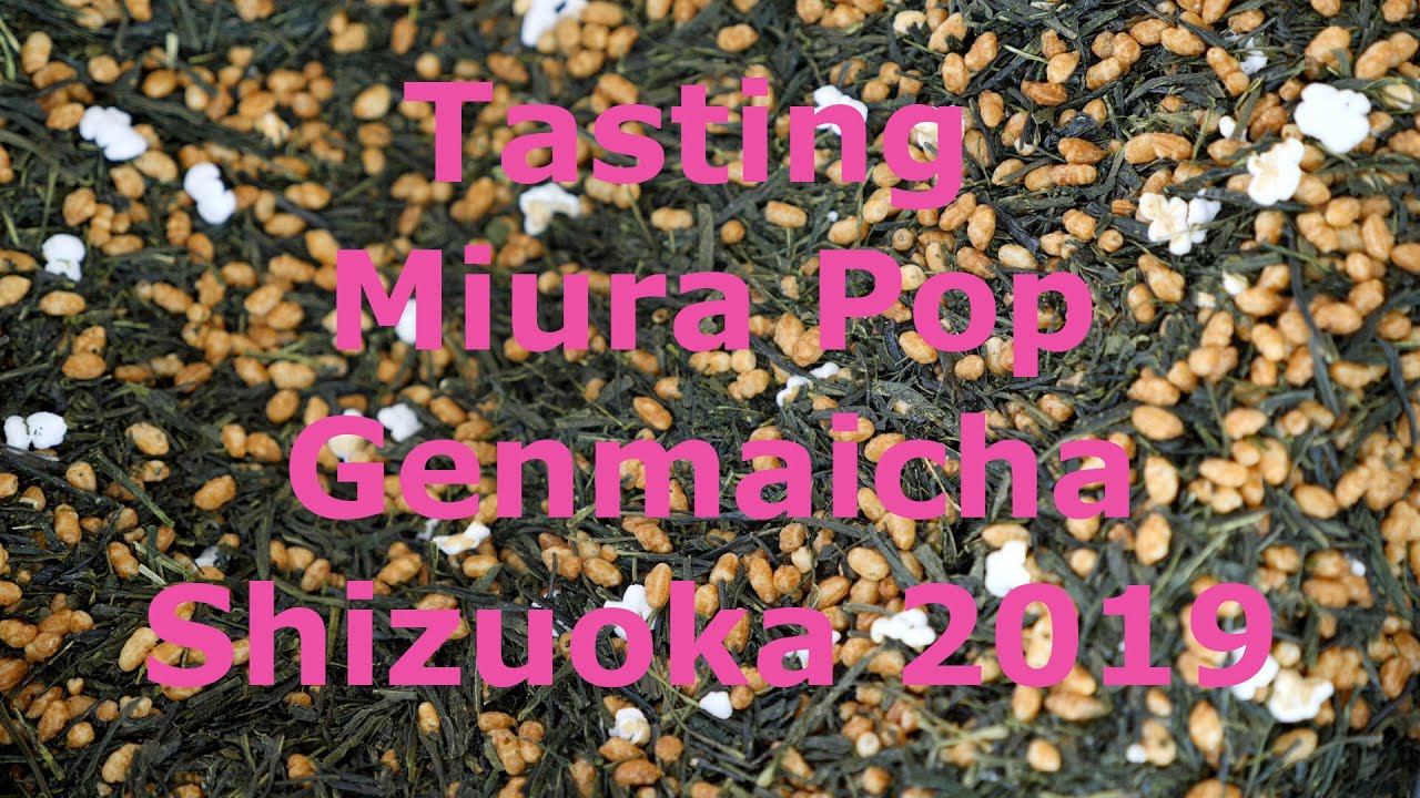 2019 Tea Addicts - tea tasting Miura Pop Genmaicha Shizuoka Japan tea culture