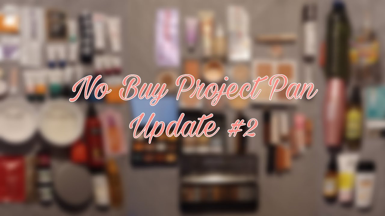 No Buy Project Pan Update #2
