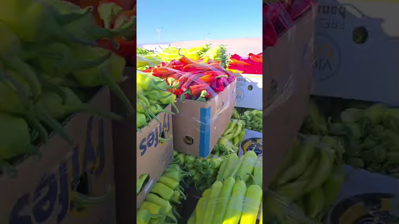 اسعار الخضر والفواكه في سوق الجملة مزيرعة لولاية بسكرة ليوم الجمعة 20 فيفري 2026 أسواق الجزائر