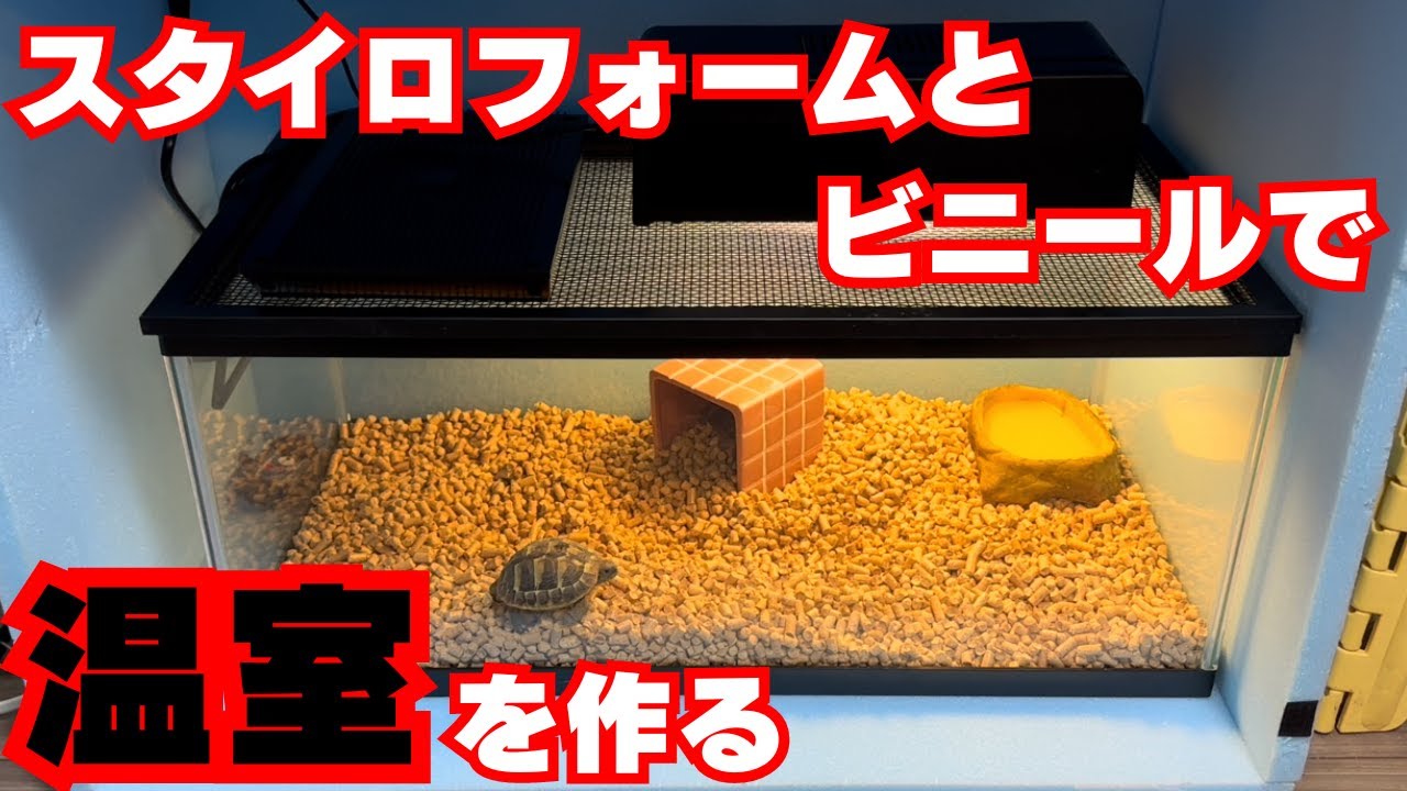 【爬虫類の冬支度】スタイロフォームとビニールで温室を作る