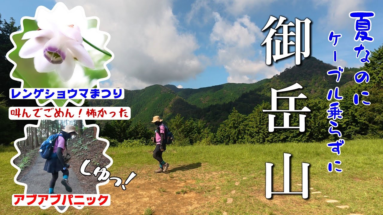 【奥多摩・御岳山】ケーブル乗らずに表参道 アブ襲撃！ レンゲショウマ  空撮あり