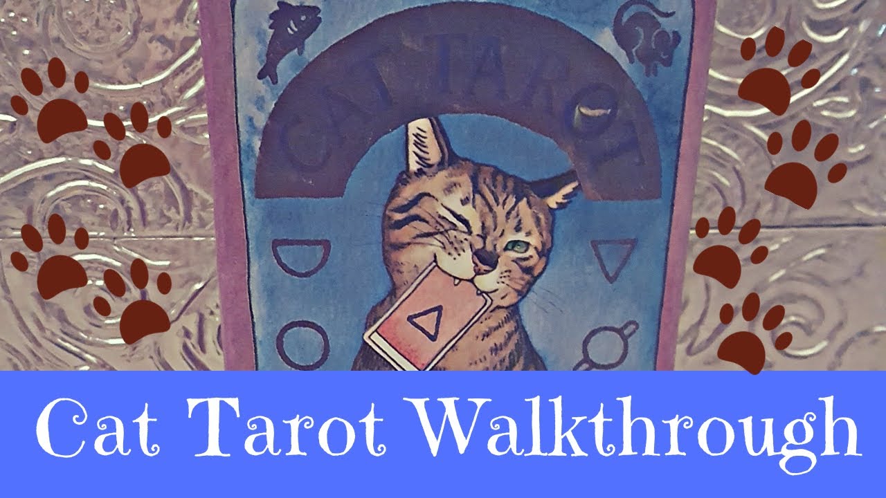 Cat Tarot Walkthrough