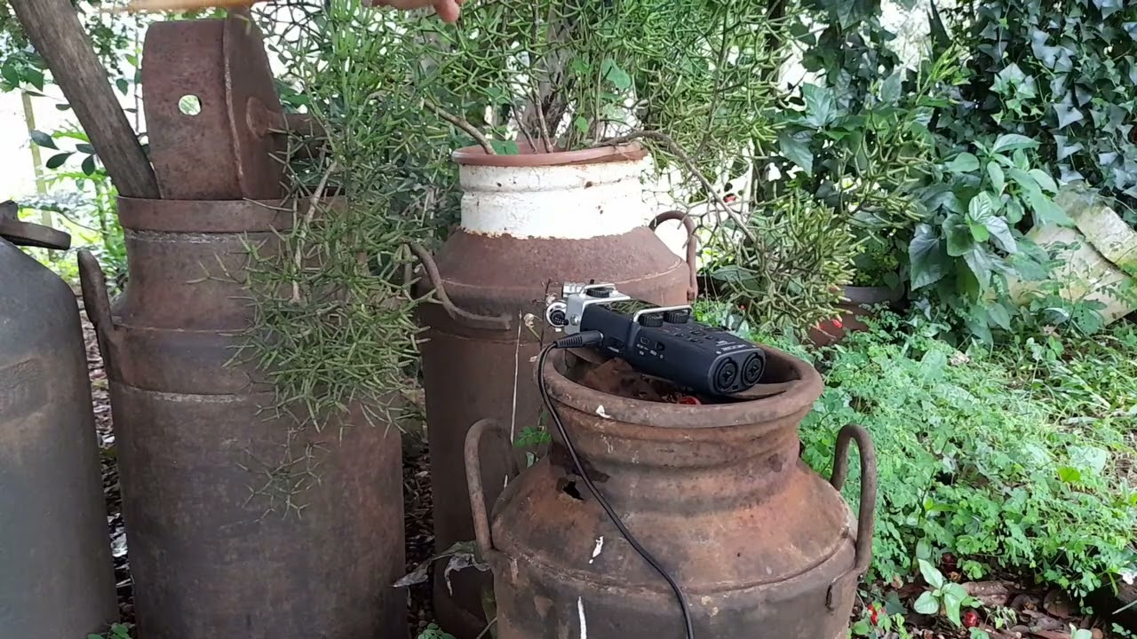 Making music with noises 