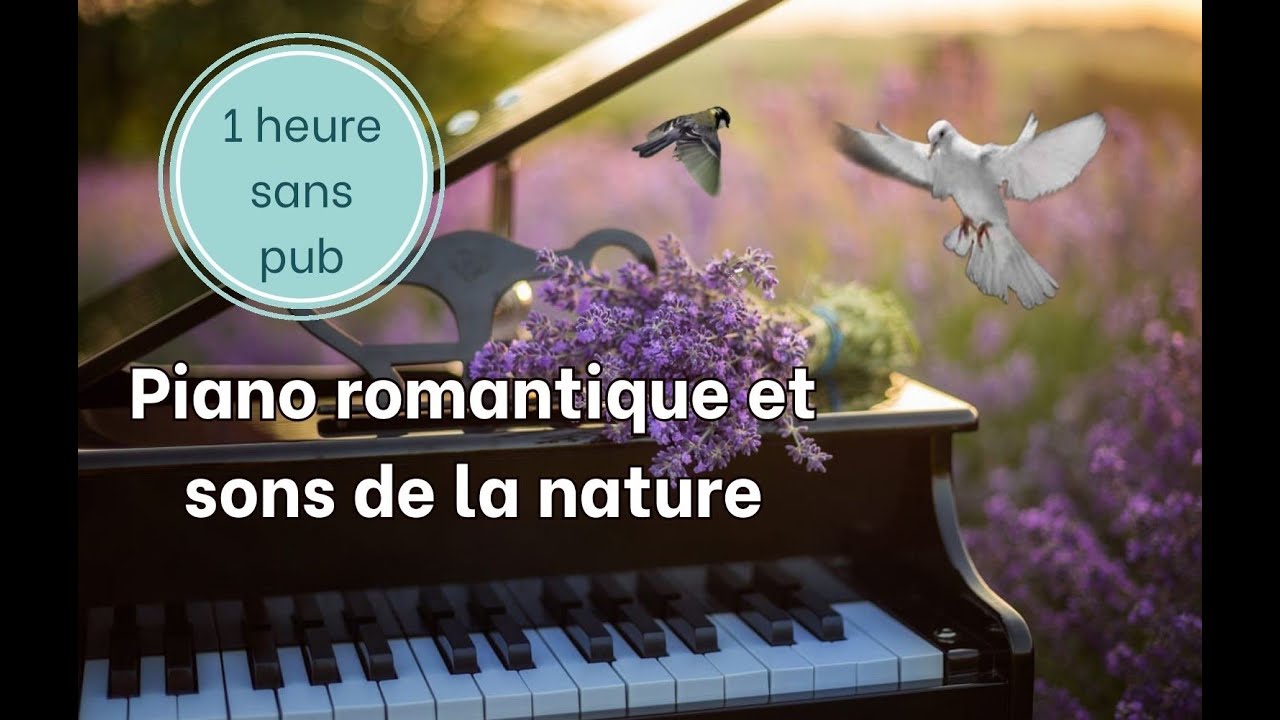 1h sans pub de piano romantique et sons de la nature - Relaxation - Méditation - asmr - yoga - reiki