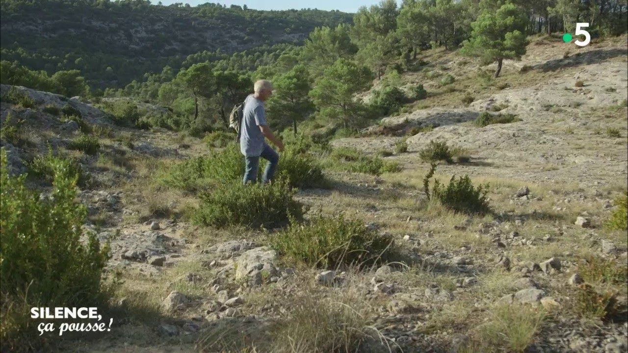 Portrait : le chercheur de plantes rares - Silence, ça pousse !