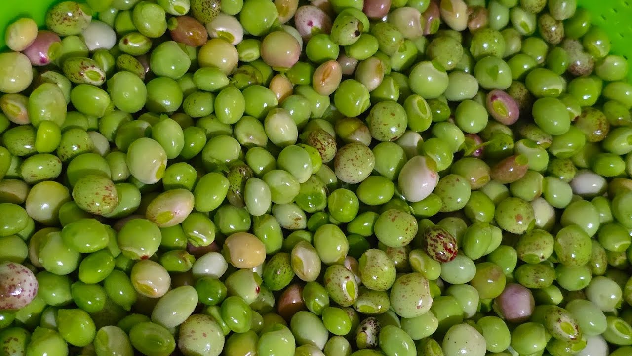ನಾಟಿ ಸ್ಟೈಲ್ ಹಸಿ ತೊಗರಿ ಕಾಳು ಸಾಂಬಾರ್ 👌
