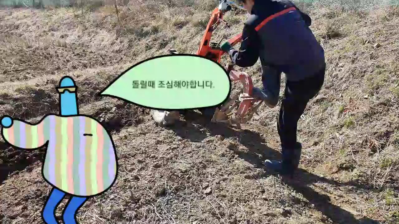 경운기 밭갈기 밭가는방법 50년경력 회장님 지시
