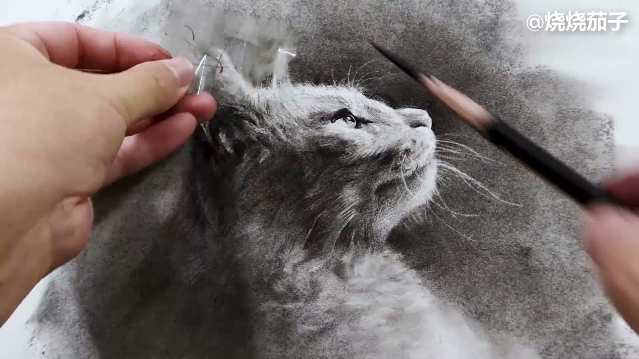 Рисуем реалистичного кота углем