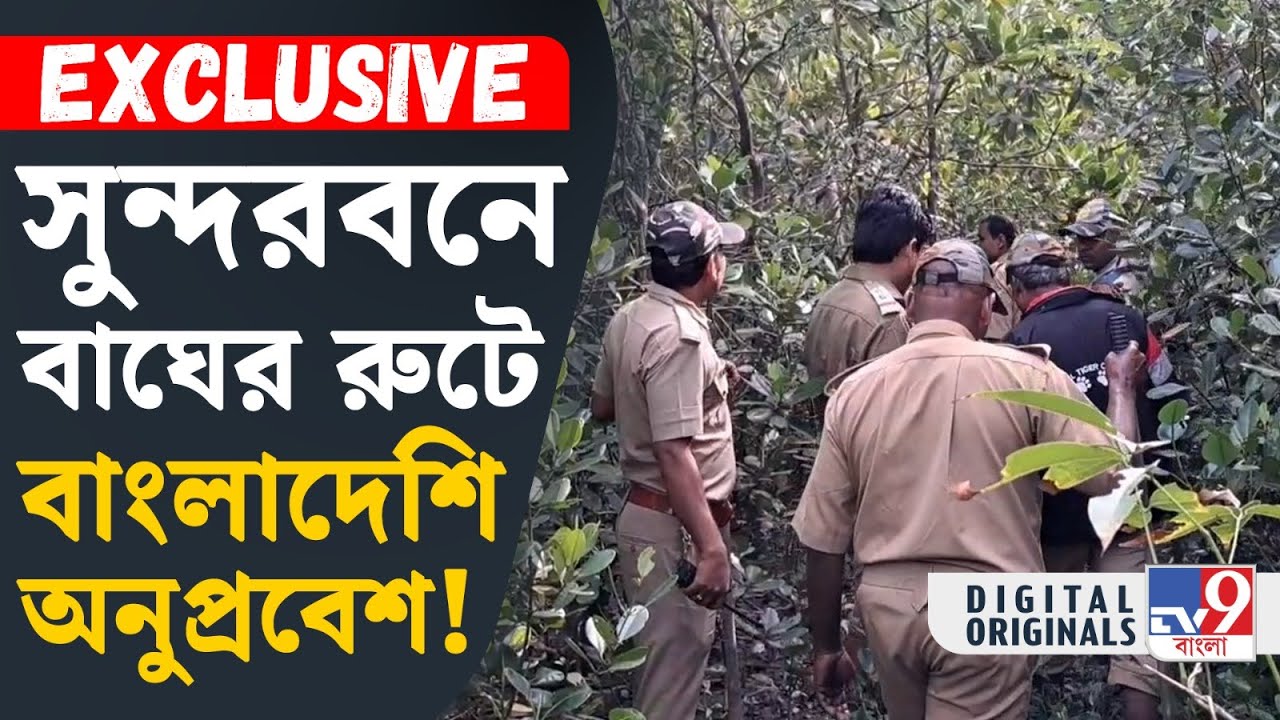 Bangladeshi Immigrant, Sundarbans: কীভাবে সুন্দরবনে আনুপ্রবেশকারীরা প্রবেশ করছে, দেখুন | #TV9D