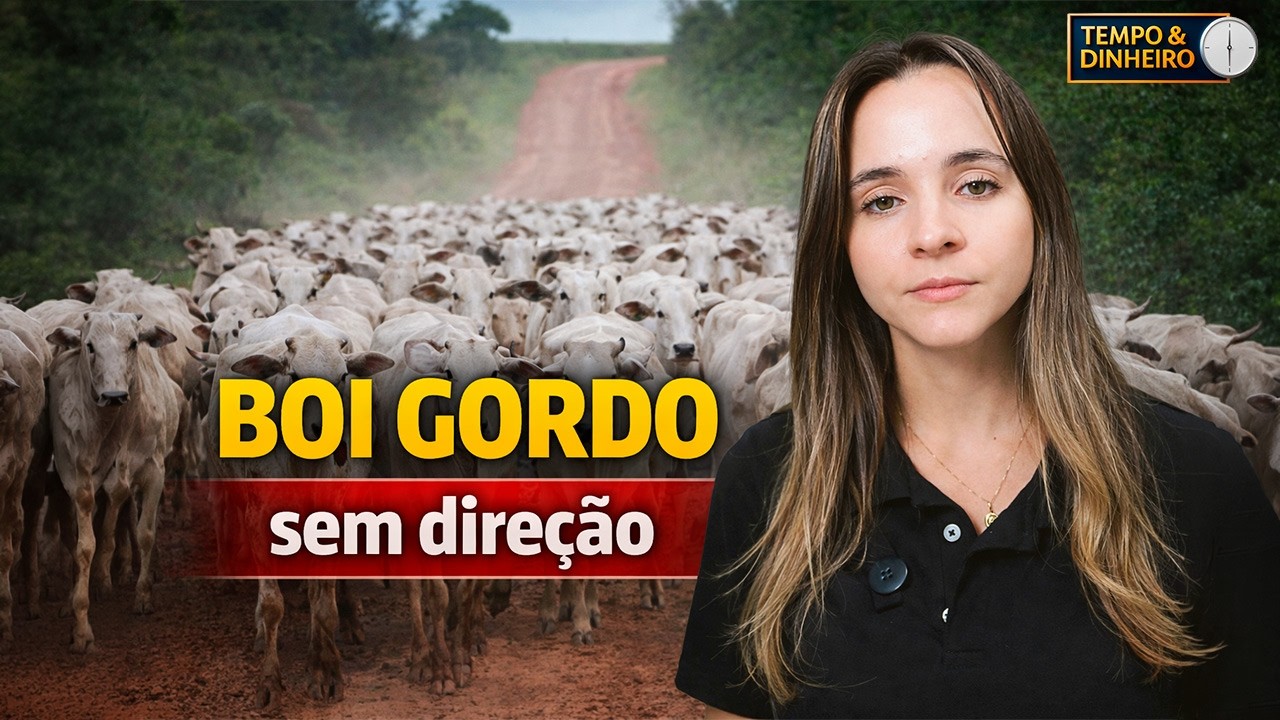 Boi gordo com mercado de lado, informa Isabella Camargo