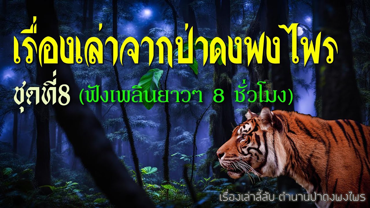 รวมเรื่องเล่าจากป่าดงพงไร ชุดที่ 8  (ฉบับฟังยาวๆ 8 ชั่วโมง)