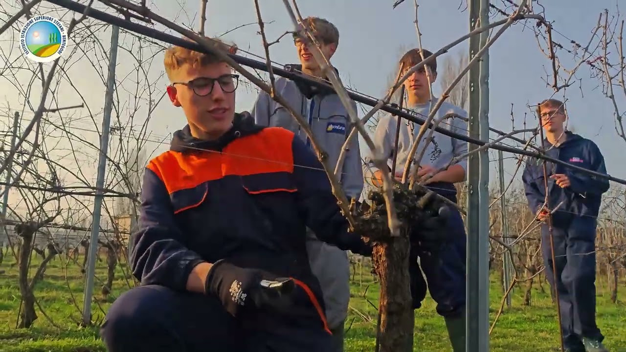 English on the Farm 2025