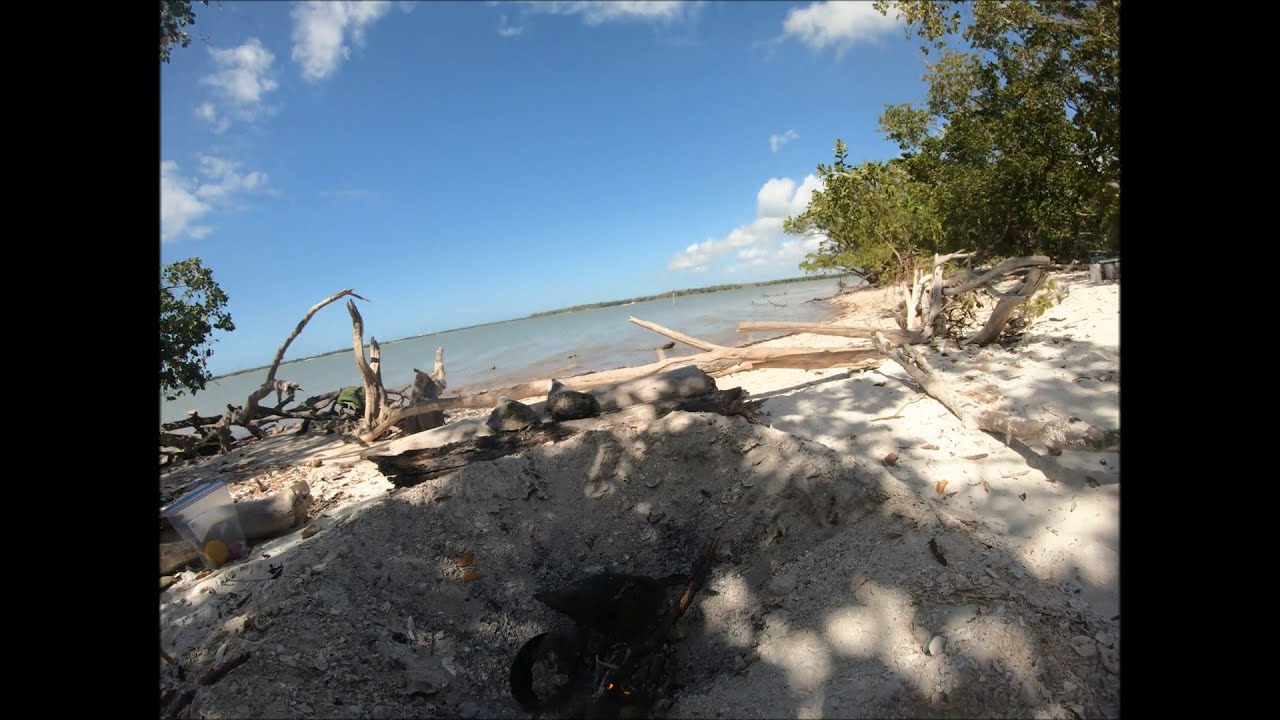 Catch Cook and Eat Wild Pen Shells and Clams Over a Campfire on Desert Island