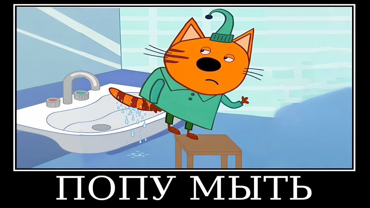ТРИ КОТА 20 МИНУТ РЖАКИ 😂 ПОПРОБУЙ НЕ ЗАСМЕЯТЬСЯ