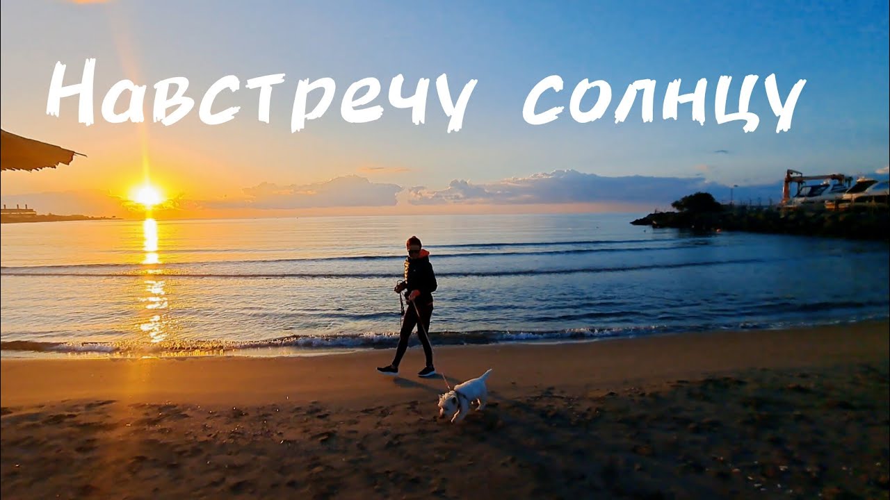 #утро прогулка по пляжу🏝️ Общаемся, говорим о погоде #море 🌊 Заходите, будет интересно!