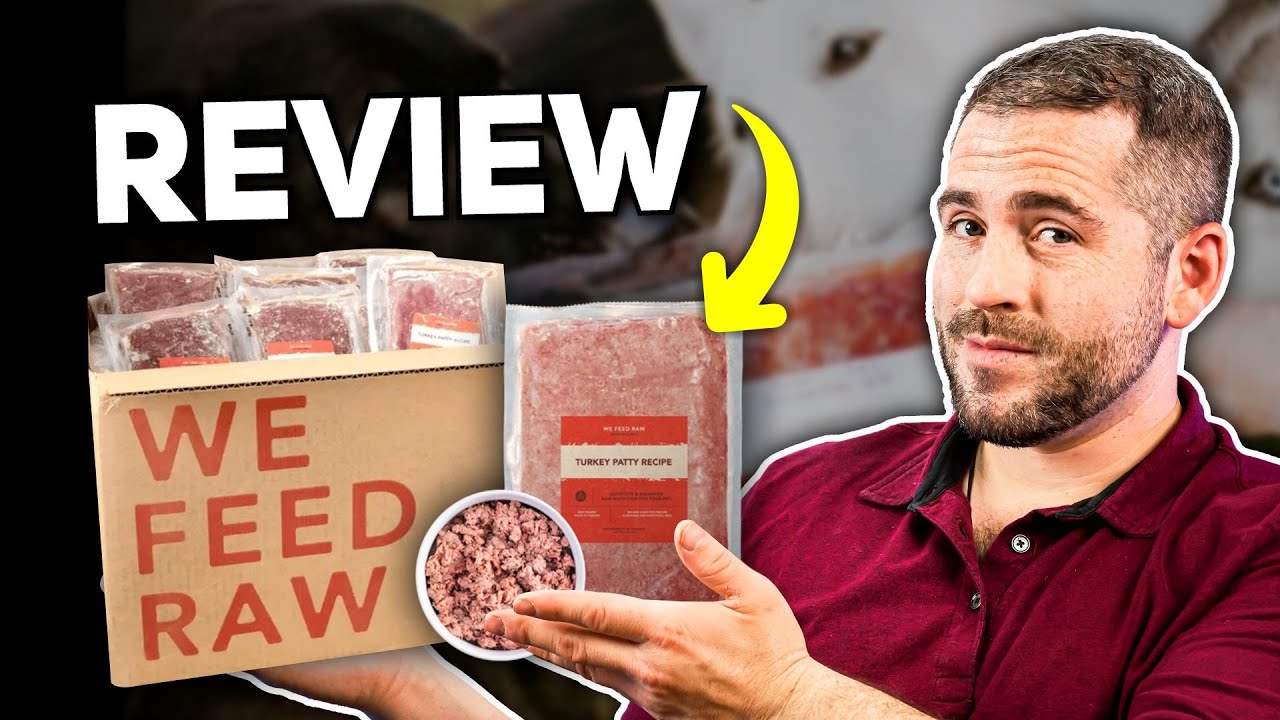 Обзор корма для собак We Feed Raw Dog Food: Лучшая доставка сырого корма для собак оптом?