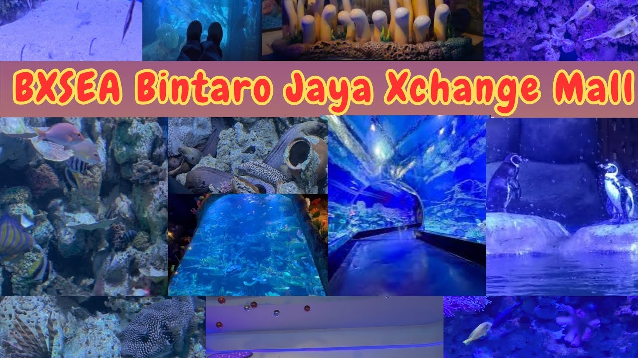 Liburan ke Bxsea Bintaro Jaya Xchange Mall #bxsea #bxseabintaro #bxchangemall