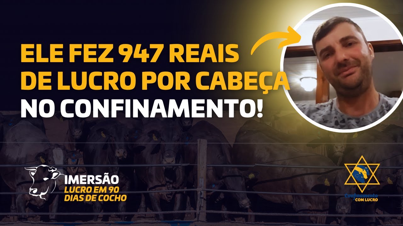 Mesmo com um lote pequeno ESSE PECUARISTA teve R$947 de lucro POR CABEÇA no cocho