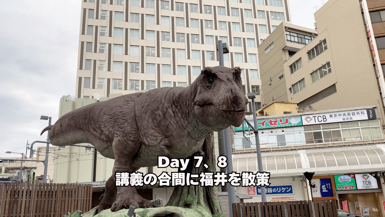 【バンコク〜沖縄〜福井出張 Day.7、8】2025.10 講義の合間に福井を散策