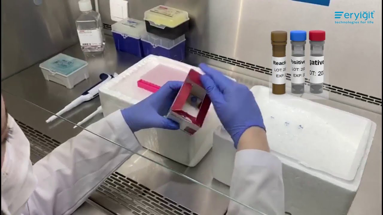 Eryigit Senteligo Sars-Cov-2(Covid-19) Multiplex qPCR Detection Kit