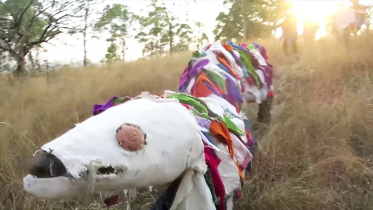Chancha Via Circuito - Los Pastores (OFFICIAL MUSIC VIDEO)