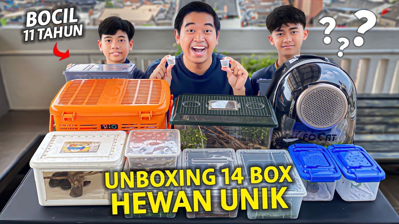 UNBOXING 14 KOTAK HEWAN UNIK PUNYA BOCIL 11 TAHUN! ISINYA HEWAN B4H4Y4?!