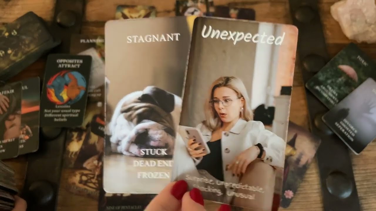 СТРЕЛЕЦ Они такие серьёзные! Что ты думаешь, Стрелец?