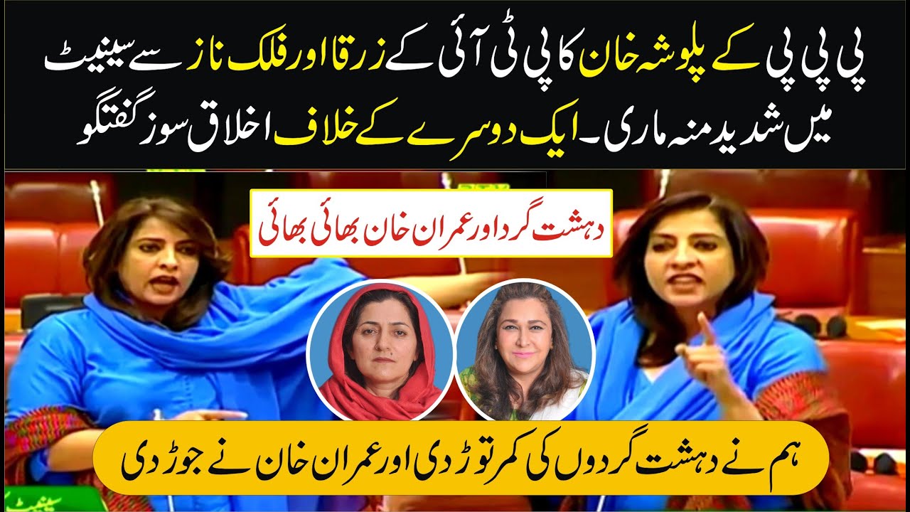 PPP Palwasha Khan Emotional & Sensational Speech In Senate