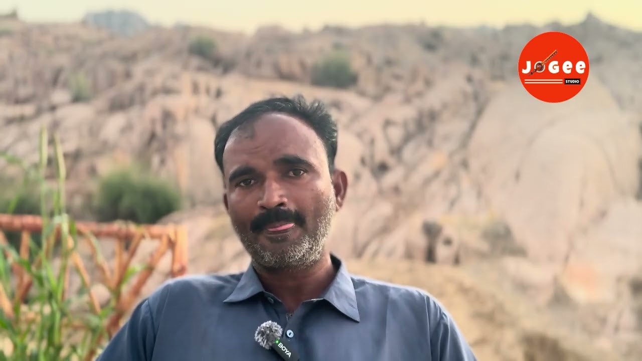 Rann Kutch / Bird flying /  inayat khoso / Thar / Karoonjhar 