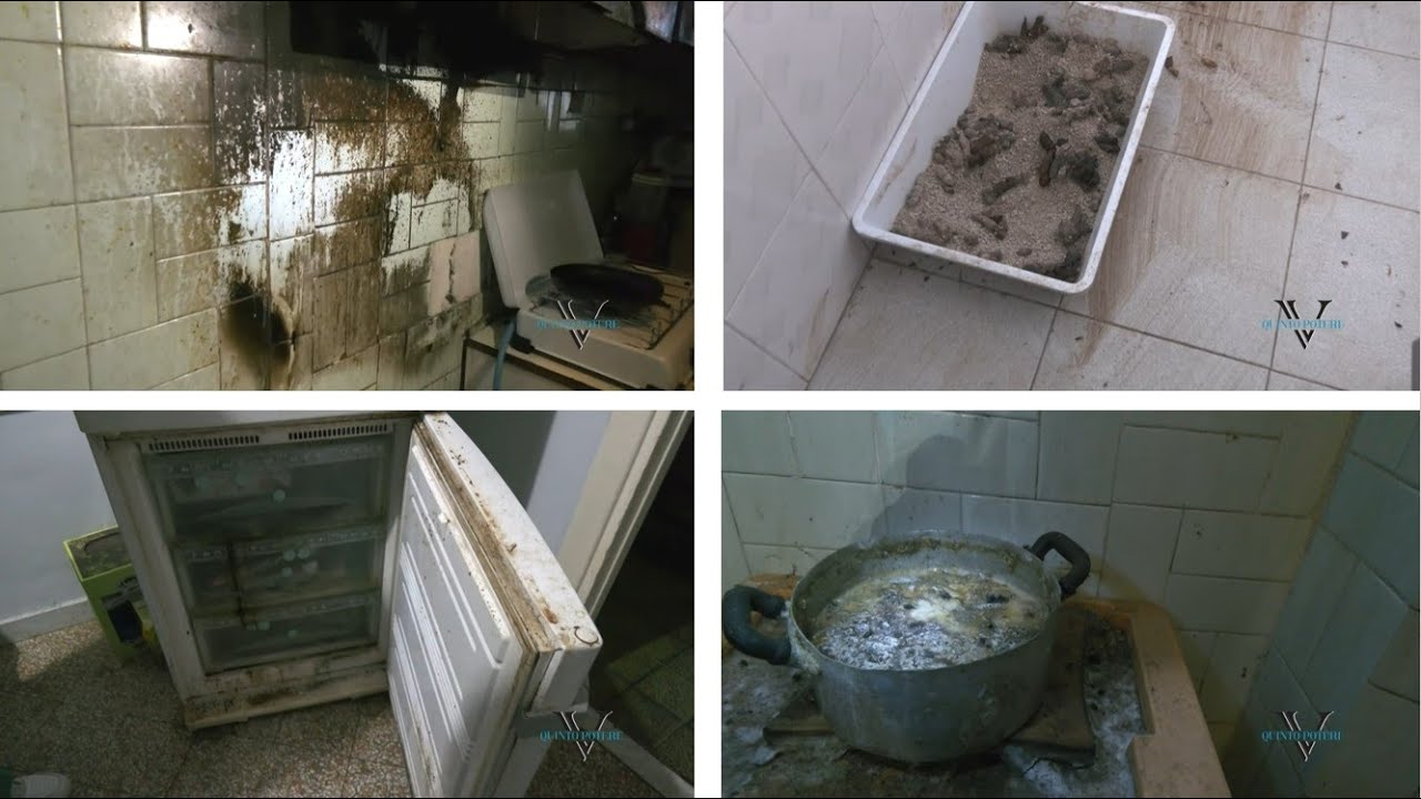Puzza di cadavere dal frigorifero, nella 