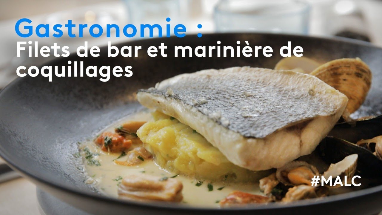 Gastronomie : filet de bar et marinière de coquillages