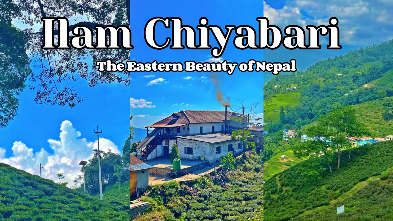 Ilam Chiyabari | The eastern beauty of Nepal 🇳🇵| #ilam #nepal