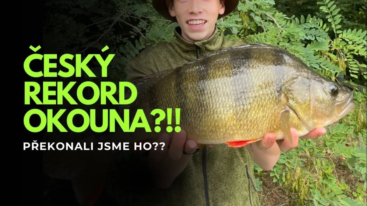 Rekordn&iacute; okoun!!! #perch #tobiaskubicek #fishing #nature #fishinglife